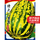 農之子 八里香香瓜甜瓜種子花斑皮面瓜菜瓜種籽夏秋季 特大八里香甜瓜種子 約30粒/個(gè)大
