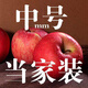京樂狳新疆阿克蘇冰糖心紅富士蘋果水果新鮮脆甜整箱批發(fā) 10斤帶箱【中果】凈重8.5斤