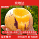 京地達(dá)云南石林人參果特大果凈重4.5斤 單果120g+新鮮水果 源頭直發(fā)包郵