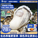 貝司令（BEISILING）【鮮活】乳山生態(tài)生蠔牡蠣貝類燒烤源頭直發(fā)3XL凈重4斤 海鮮水產(chǎn)
