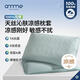 安敏諾（Anmino）防螨抗菌冰絲枕套涼感枕套母嬰A類(lèi)枕頭套夏季家用枕套涼感一對裝