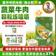 袁氏農場(chǎng)寶寶輔食嬰幼兒米粉混合蔬菜牛肉味258g*1罐二價(jià)鐵二階高鐵7月+