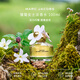 莫杰（MARC JACOBS）雛菊女士淡香水100ml 花香調(diào)  生日禮物自營(yíng)