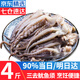 優(yōu)牧冠 冷凍魷魚須鐵板魷魚爪二本足八爪魚毛重500g/袋火鍋夜宵燒烤食材 【超市款】毛重4斤 2.8斤(凈重)