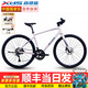 喜德盛（xds）極速380平把公路車(chē)油壓碟剎18速禧瑪諾后撥桶軸自行車(chē)成人 海貝粉 420mm 建議身高150-165cm