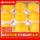閩域?qū)r新鮮黃桃現(xiàn)摘黃心黃毛桃陜西當(dāng)季新鮮水果整箱送禮黃心黃桃 【單果150-170g】精選果 5斤裝丨80%的選擇丨凈重4.5斤