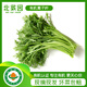 北菜園有機(jī)蒿子稈茼蒿250g新鮮有機(jī)蔬菜【進(jìn)店多樣加購(gòu)】火鍋涮菜