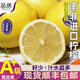 兮柔【順豐】南非進(jìn)口黃檸檬大果 皮薄一級新鮮水果少籽尤力克檸檬 2斤裝大果單果約120-150g
