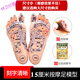 腳部穴位模型大字體高清足部反射區(qū)模型腳底穴位圖足底 15cm足模一對+按摩棒+按摩書 約