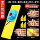 龍江切絲器土豆絲多功能擦絲器切片廚房擦絲器酒店商用【京東包郵】 4用【中+粗+細+切片】+護手