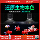 馬印筒燈全光譜LED魚缸燈金魚錦鯉爆藻增色燈 100W超色筒燈+支架【5-100W  可調(diào)節(jié)】