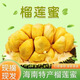 【現(xiàn)摘爆甜】海南三亞榴蓮蜜5斤應(yīng)當(dāng)季熱帶水果尖蜜拉軟肉非榴蓮R 【大果1.5-2斤（1個）】
