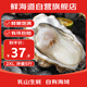 鮮海道（XIANHAIDAO）【活鮮】生蠔 鮮活乳山牡蠣貝類 源頭直發(fā) 2XL-凈重5斤 送禮