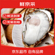 鮮京采 鮮活生蠔5XL 凈重5斤 9-12只 生鮮海鮮 源頭直發(fā)