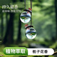 LZJV吊墜車(chē)載除異味香薰汽車(chē)掛飾香水掛件精油車(chē)內持久掛件 梔子花【20毫升】+兩個(gè)瓶子
