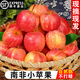 田果匠順豐次日達多地）南非牛頓小蘋果新鮮脆甜多汁進口迷你蘋果樹上熟 6粒裝 （單粒90g+）牛頓小蘋果
