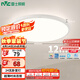 雷士（NVC）陽臺燈臥室吸頂燈書房現(xiàn)代簡約防蚊蟲led照明包安裝24瓦暖白光