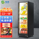 加承冷凍展示柜立式全屏商用冰箱冷凍柜大容量海鮮肉類速凍柜風冷無霜低溫柜超市冰淇淋雪糕保鮮冷柜 -22℃全屏冷凍柜大單門620*725*1980