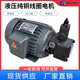 液壓油泵電機內插式電機油泵組 0.75KW/1.5KW/2.2KW配VP20/VP15 電機與油泵按需組合 0.75KW【純銅電機】
