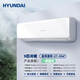HYUNDAI韓國(guó)現(xiàn)代 一級(jí)能效空調(diào)冷暖掛機(jī)定頻1/1.5匹p單冷一/二/三臥室出租房立式柜機(jī)壁掛式節(jié)能省電靜音 大3匹 一級(jí)能效 冷暖變頻-送貨上門(mén)45㎡ 含上門(mén)安裝+全國(guó)聯(lián)保6年