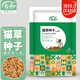 壽禾 貓草種子苗土培水培貓零食草籽 濰育中壽貓草(小麥草)種子1050g