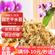 漫生活干水苔/苔蘚(特級)營養(yǎng)土蝴蝶蘭君子蘭烏龜盆栽蓬松保濕景觀100g