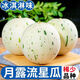 頭茬夢(mèng)露蜜露流星甜瓜當(dāng)季水果新鮮甜瓜翡翠甜瓜冰淇淋蜜瓜 5斤