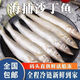 海捕沙丁魚深海水產(chǎn)沙尖海魚冰鮮深海魚小沙丁魚新鮮冷凍 2斤嘗鮮沙丁魚