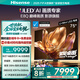 海信電視E8Q 75英寸 信芯H6 U+MiniLED  黑曜屏 首發(fā)330Hz高刷 帝瓦雷音響 E8NPRO升級 國家補(bǔ)貼75E8Q