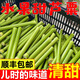 順豐甜桿小甘蔗新鮮水果甜蘆粟甜蘆稷農(nóng)家特產(chǎn)甜高梁桿東北老品種 順豐直達(dá)5斤裝