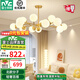 雷士（NVC）北歐輕奢魔豆分子網(wǎng)紅led客廳燈餐廳燈臥室燈吊燈燈具全屋燈飾 明珠 15頭吊燈【帶5.5瓦光源】