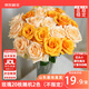 京東鮮花玫瑰花隨機(jī)2色20枝山東基地新鮮采摘送男女朋友枝長(zhǎng)40cm源頭直發(fā)