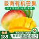 彩虹雨【廠商直發(fā)】 云南有機芒果 新鮮現(xiàn)摘有機生鮮水果基地直發(fā) 有機芒果6斤（2種芒果）混合裝