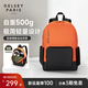 DELSEY戴樂世雙肩包背包15.6英寸筆記本電腦包輕便大容量商務男士雙肩包