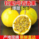 廣西現(xiàn)摘黃金百香果欽蜜9號 爆甜多汁當(dāng)季水果現(xiàn)摘整箱水果 20個裝 單果30g以下