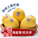 優(yōu)味集進(jìn)口新奇士檸檬【JD順豐現(xiàn)貨速發(fā)】新鮮黃檸檬生鮮水果整箱包郵 500g凈重裝（進(jìn)口優(yōu)果） 商超A+級(jí)單果120-150g