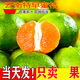 青皮涌泉蜜桔京營(yíng)自東新鮮水果現(xiàn)摘青皮橘子酸甜薄皮小蜜桔水果 9斤 凈重8.5斤 甄選裝