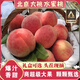 果益壽【閃送到家】北京大桃水蜜桃禮盒毛桃久保離核桃14號脆桃綠化九 10-12個裝（4-5兩左右） 普通快遞-5斤凈重
