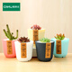 奧美優(yōu)多肉花盆多肉植物花盆創(chuàng  )意室內盆栽綠植肉肉花盆4色4個(gè) 不含綠植