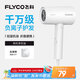 飛科（FLYCO）負(fù)離子電吹風(fēng)機(jī)家用便攜出游速干冷熱風(fēng)大功率吹風(fēng)筒FH6276
