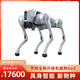 宇樹(shù)（Unitree） Go2 語(yǔ)音 AI大模型 機(jī)器狗Go2 電子狗 具身智能 伴隨 仿生陪伴機(jī)器人 四足機(jī)器狗 Go2-Pro