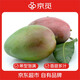 京覓 攀枝花凱特芒果 8斤單果700g+ 應(yīng)當(dāng)季時(shí)令新鮮水果生鮮 源頭直發(fā)