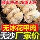 海味捕手花甲肉新鮮冷凍蛤蜊肉冷凍蛤蜊文蛤貝殼肉蛤蜊肉海產(chǎn)無沙冷凍海鮮 無沙花甲肉【三斤裝】凈重?zé)o冰