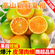 甜果源 三峽夏橙 手剝橙子重慶高山歸甜橙新鮮水果時令當(dāng)季生鮮 凈重8.5-9斤【超值實(shí)惠】 單果60-65mm