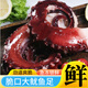 新鮮大魷魚(yú)須批發(fā)冷凍水產(chǎn)海鮮鮮活八爪魚(yú) 【四斤裝】精品魷魚(yú)須