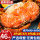 ?；蕿? 面包蟹 熟凍超大黃金蟹螃蟹母蟹海蟹黃道蟹生鮮蟹類(lèi) 熟凍面包蟹 單只400-600g