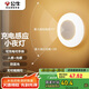 公牛（BULL）充電感應(yīng)小夜燈走廊衛(wèi)生間GNY-T2N0人感光感自動(dòng)亮燈熄滅500毫安