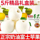 正宗奶油蘋(píng)果脆甜奶油白蘋(píng)果脆甜多汁黃金富士當季新鮮水果 正宗奶油蘋(píng)果【稀世珍品  難得一 五斤精品大果【脆甜多汁  甜度爆