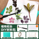 蘇拉達(dá)（Surada）繪畫diy植物拓染材料包 手工diy樹葉敲拓染錘子扎染方巾布料兒童拓印工具套裝 diy工具包sd262