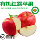諸氏橙品【有機(jī)】蘋(píng)果 2025鮮果 云南冰糖心蘋(píng)果 當(dāng)季水果丑蘋(píng)果整箱 5斤家庭【約12-15枚】